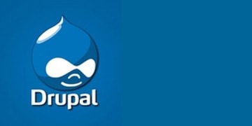 Drupal.org resets password
